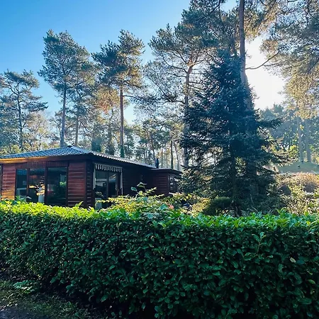 Stayatsas Tiny House Pippa In De Bossen Op De Veluwe Holiday home