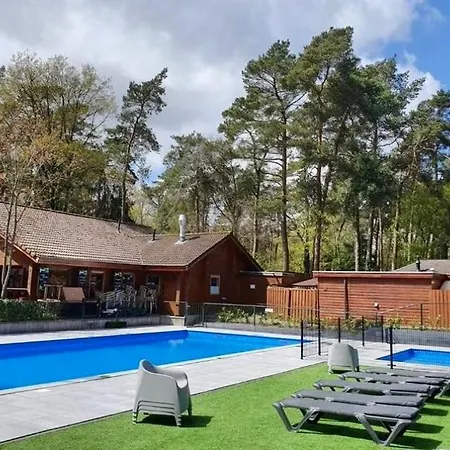 Stayatsas Tiny House Pippa In De Bossen Op De Veluwe Holiday home