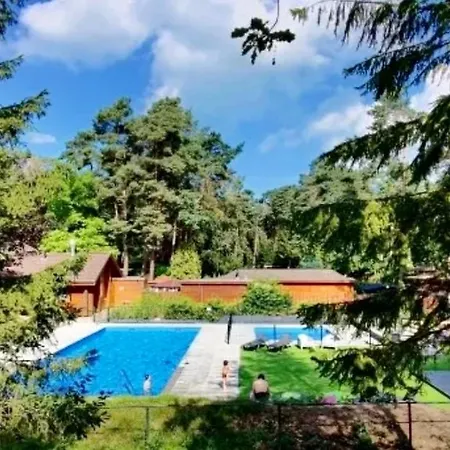 Stayatsas Tiny House Pippa In De Bossen Op De Veluwe Holiday home *