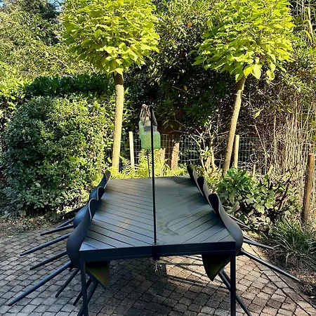 Stayatsas Tiny House Pippa In De Bossen Op De Veluwe
