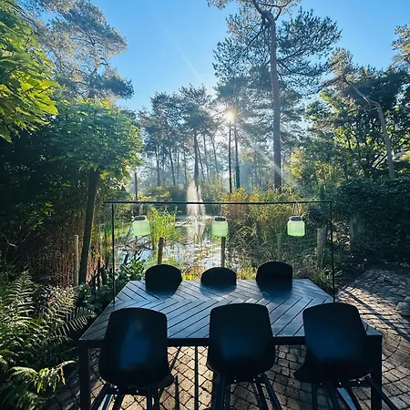 Stayatsas Pippa Grote Omheinde Tuin, Gebruik Zwembad, Stijlvol Ingericht, Middenin Het Bos Met Veel Privacy, Restaurant Op Park Ferienhaus