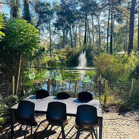 Stayatsas Pippa Grote Omheinde Tuin, Gebruik Zwembad, Stijlvol Ingericht, Middenin Het Bos Met Veel Privacy, Restaurant Op Park Ferienhaus