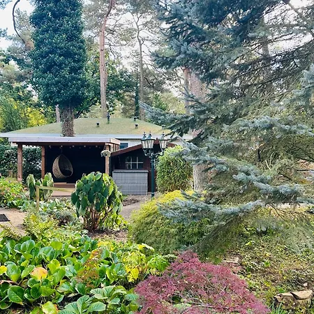 Stayatsas Pippa Grote Omheinde Tuin, Gebruik Zwembad, Stijlvol Ingericht, Middenin Het Bos Met Veel Privacy, Restaurant Op Park Ferienhaus *