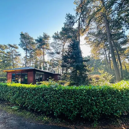 Stayatsas Pippa Grote Omheinde Tuin, Gebruik Zwembad, Stijlvol Ingericht, Middenin Het Bos Met Veel Privacy, Restaurant Op Park Ferienhaus *