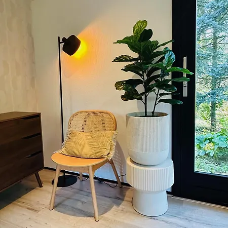 Stayatsas Tiny House Pippa In De Bossen Op De Veluwe *