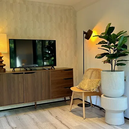Stayatsas Tiny House Pippa In De Bossen Op De Veluwe