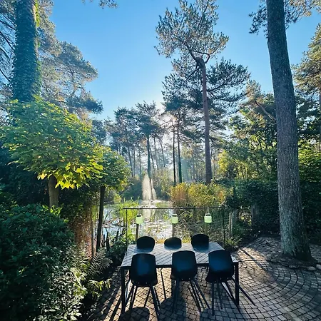 Stayatsas Tiny House Pippa In De Bossen Op De Veluwe Holiday home Doornspijk