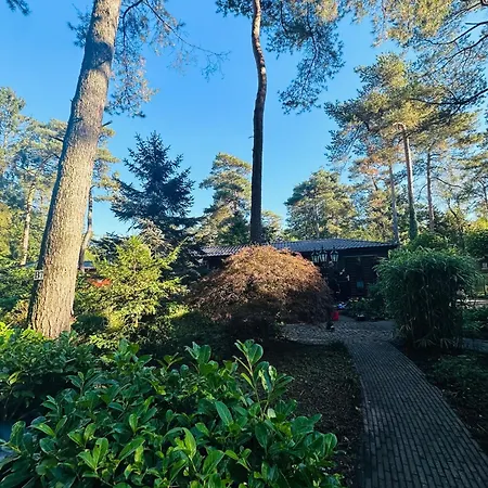 Ferienhaus Stayatsas Pippa Grote Omheinde Tuin, Gebruik Zwembad, Stijlvol Ingericht, Middenin Het Bos Met Veel Privacy, Restaurant Op Park