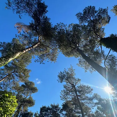 Stayatsas Pippa Grote Omheinde Tuin, Gebruik Zwembad, Stijlvol Ingericht, Middenin Het Bos Met Veel Privacy, Restaurant Op Park Ferienhaus *