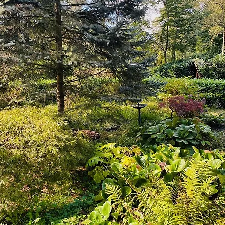 Ferienhaus Stayatsas Pippa Grote Omheinde Tuin, Gebruik Zwembad, Stijlvol Ingericht, Middenin Het Bos Met Veel Privacy, Restaurant Op Park