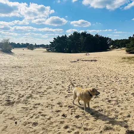 Ferienhaus Stayatsas Pippa Grote Omheinde Tuin, Gebruik Zwembad, Stijlvol Ingericht, Middenin Het Bos Met Veel Privacy, Restaurant Op Park *