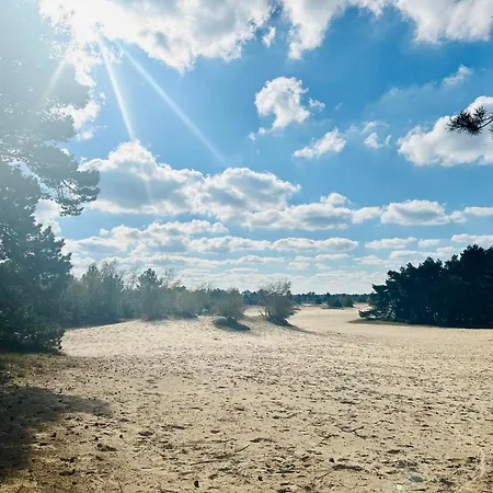 Stayatsas Tiny House Pippa In De Bossen Op De Veluwe Holiday home Doornspijk