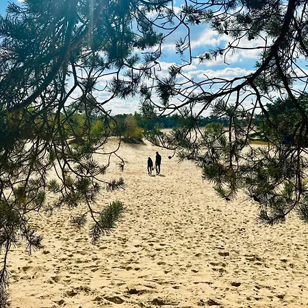 Stayatsas Pippa Grote Omheinde Tuin, Gebruik Zwembad, Stijlvol Ingericht, Middenin Het Bos Met Veel Privacy, Restaurant Op Park Ferienhaus Doornspijk