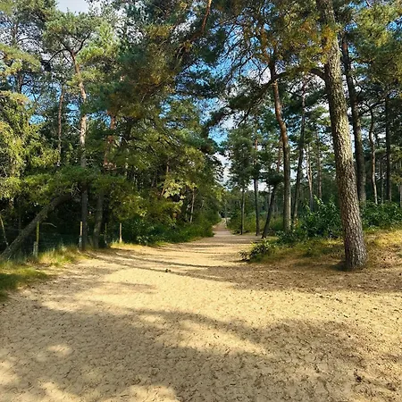 Stayatsas Tiny House Pippa In De Bossen Op De Veluwe *