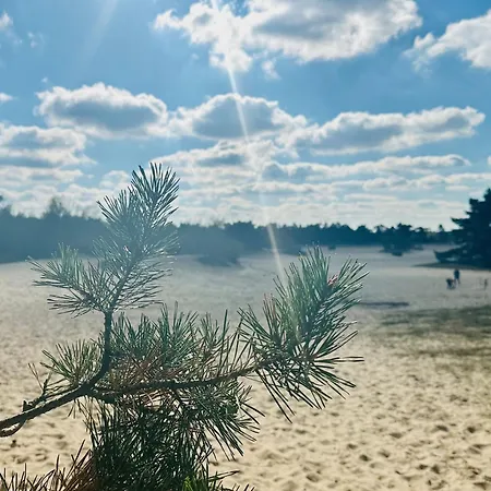 Stayatsas Pippa Grote Omheinde Tuin, Gebruik Zwembad, Stijlvol Ingericht, Middenin Het Bos Met Veel Privacy, Restaurant Op Park Doornspijk