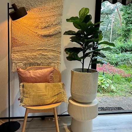 Stayatsas Pippa Grote Omheinde Tuin, Gebruik Zwembad, Stijlvol Ingericht, Middenin Het Bos Met Veel Privacy, Restaurant Op Park * Doornspijk