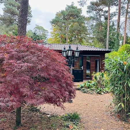 Stayatsas Pippa Grote Omheinde Tuin, Gebruik Zwembad, Stijlvol Ingericht, Middenin Het Bos Met Veel Privacy, Restaurant Op Park Ferienhaus