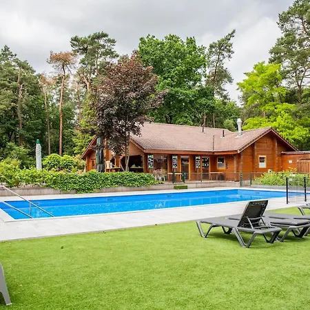 Stayatsas Tiny House Pippa In De Bossen Op De Veluwe Doornspijk