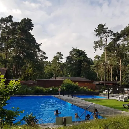 Stayatsas Pippa Grote Omheinde Tuin, Gebruik Zwembad, Stijlvol Ingericht, Middenin Het Bos Met Veel Privacy, Restaurant Op Park * Doornspijk