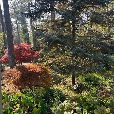 Stayatsas Pippa Grote Omheinde Tuin, Gebruik Zwembad, Stijlvol Ingericht, Middenin Het Bos Met Veel Privacy, Restaurant Op Park