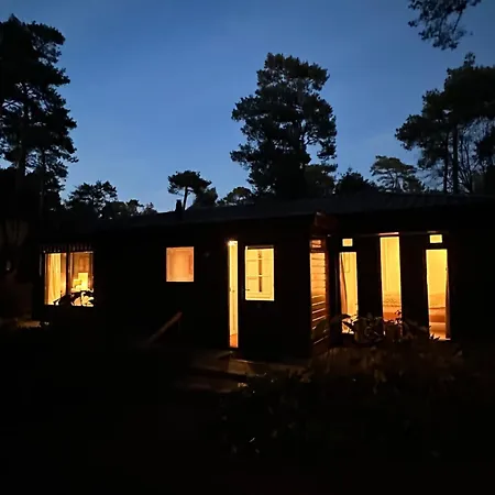 Stayatsas Tiny House Pippa In De Bossen Op De Veluwe Holiday home