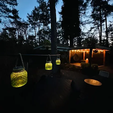 Stayatsas Tiny House Pippa In De Bossen Op De Veluwe