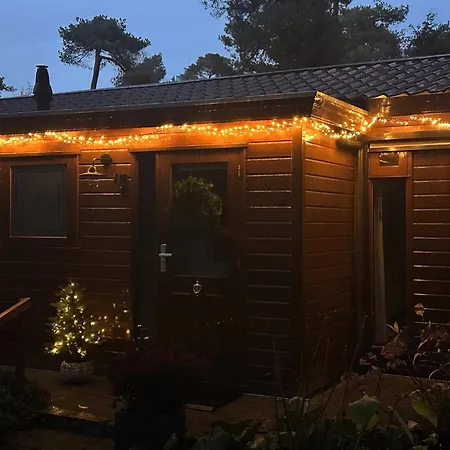 Stayatsas Tiny House Pippa In De Bossen Op De Veluwe * Doornspijk