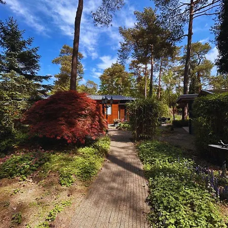 Holiday home Stayatsas Tiny House Pippa In De Bossen Op De Veluwe