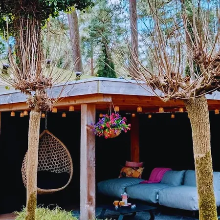 Stayatsas Tiny House Pippa In De Bossen Op De Veluwe Doornspijk