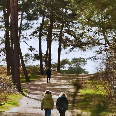 Stayatsas Tiny House Pippa In De Bossen Op De Veluwe * Doornspijk