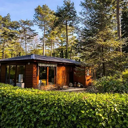 Stayatsas Pippa, Luxe Boshuis Met Grote Omheinde Tuin Aan Vijver Vakantiehuis Doornspijk