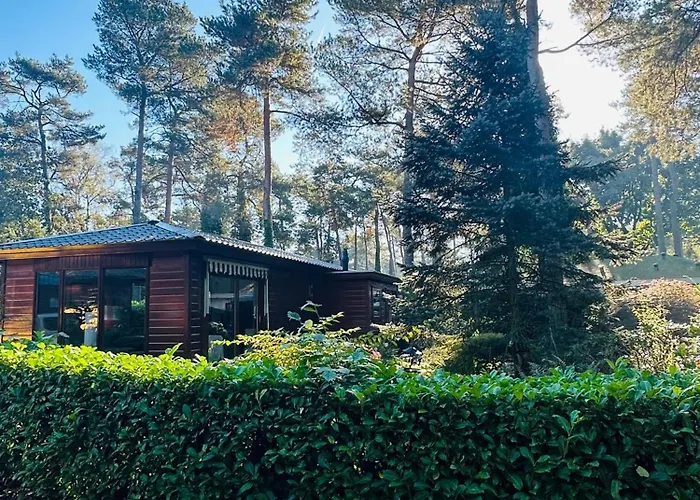 Stayatsas Pippa Grote Omheinde Tuin, Gebruik Zwembad, Stijlvol Ingericht, Middenin Het Bos Met Veel Privacy, Restaurant Op Park Сasa de vacaciones