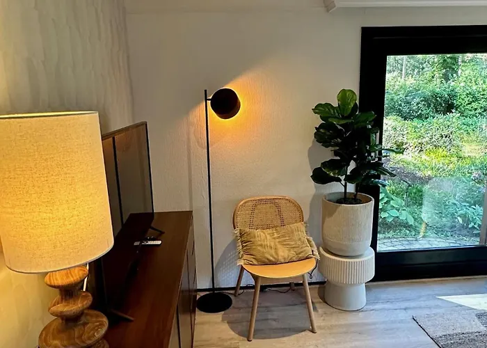 Stayatsas Pippa Grote Omheinde Tuin, Gebruik Zwembad, Stijlvol Ingericht, Middenin Het Bos Met Veel Privacy, Restaurant Op Park * Doornspijk