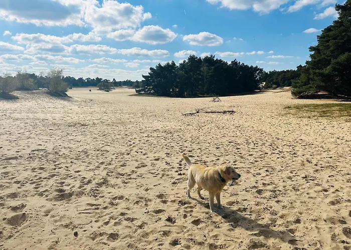Сasa de vacaciones Stayatsas Pippa Grote Omheinde Tuin, Gebruik Zwembad, Stijlvol Ingericht, Middenin Het Bos Met Veel Privacy, Restaurant Op Park *