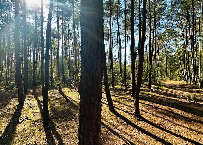 Сasa de vacaciones Stayatsas Pippa Grote Omheinde Tuin, Gebruik Zwembad, Stijlvol Ingericht, Middenin Het Bos Met Veel Privacy, Restaurant Op Park