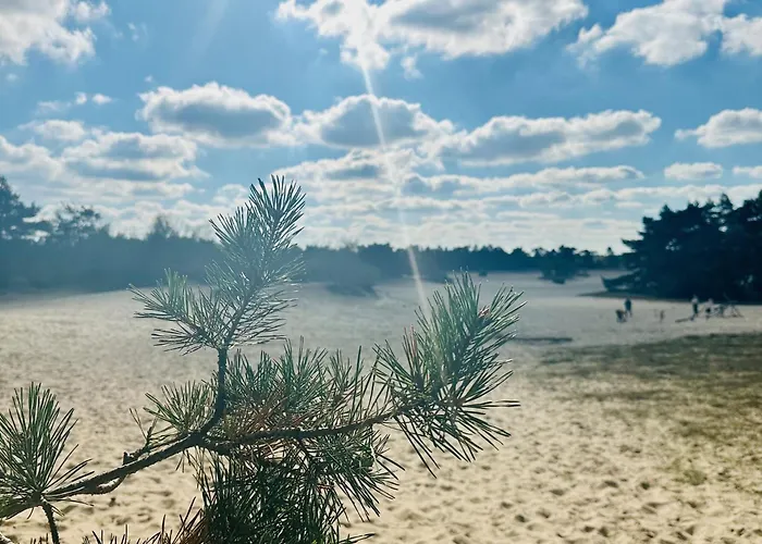 Stayatsas Pippa Grote Omheinde Tuin, Gebruik Zwembad, Stijlvol Ingericht, Middenin Het Bos Met Veel Privacy, Restaurant Op Park Doornspijk