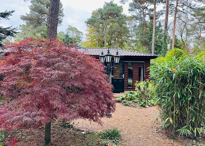Stayatsas Pippa Grote Omheinde Tuin, Gebruik Zwembad, Stijlvol Ingericht, Middenin Het Bos Met Veel Privacy, Restaurant Op Park Nyaraló