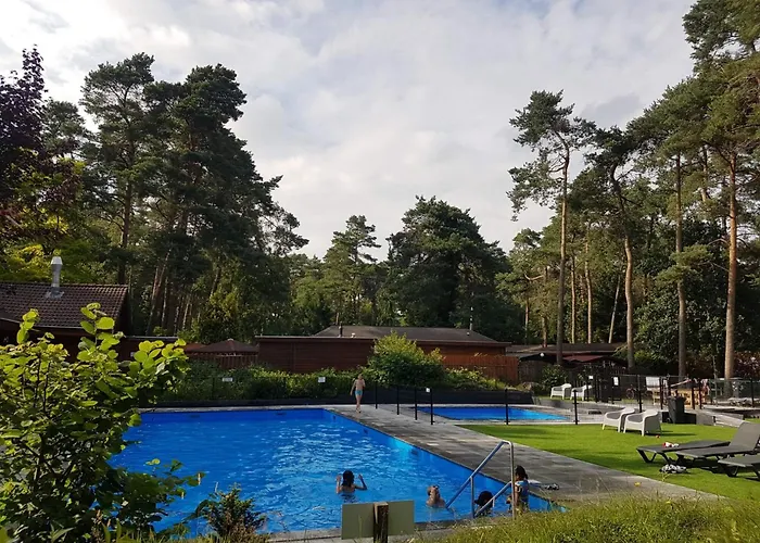 Stayatsas Pippa Grote Omheinde Tuin, Gebruik Zwembad, Stijlvol Ingericht, Middenin Het Bos Met Veel Privacy, Restaurant Op Park * Doornspijk