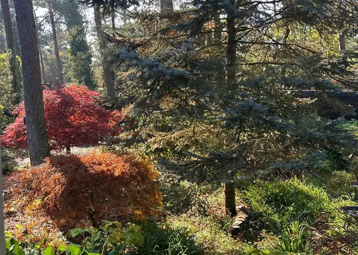 Stayatsas Pippa Grote Omheinde Tuin, Gebruik Zwembad, Stijlvol Ingericht, Middenin Het Bos Met Veel Privacy, Restaurant Op Park