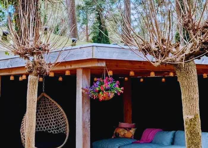 Stayatsas Pippa Grote Omheinde Tuin, Gebruik Zwembad, Stijlvol Ingericht, Middenin Het Bos Met Veel Privacy, Restaurant Op Park Doornspijk