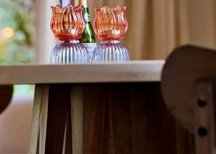 Stayatsas Pippa Grote Omheinde Tuin, Gebruik Zwembad, Stijlvol Ingericht, Middenin Het Bos Met Veel Privacy, Restaurant Op Park Doornspijk