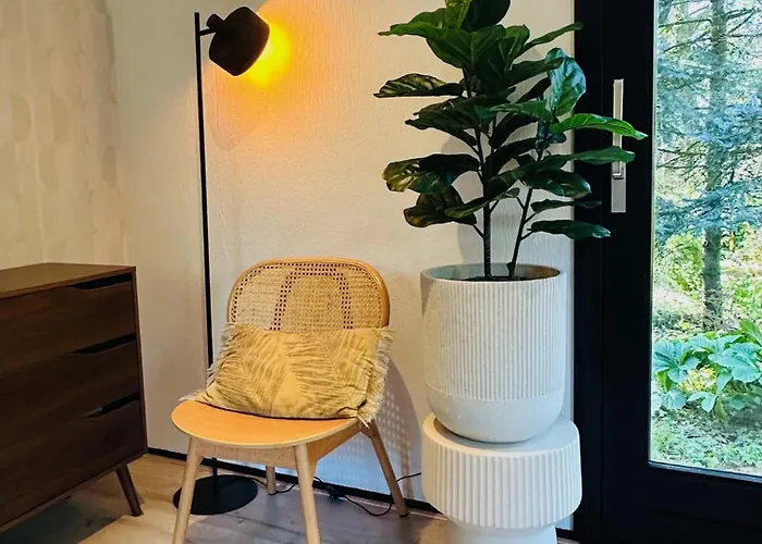 Stayatsas Pippa Grote Omheinde Tuin, Gebruik Zwembad, Stijlvol Ingericht, Middenin Het Bos Met Veel Privacy, Restaurant Op Park *