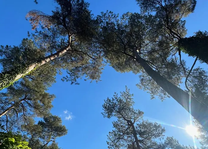 Stayatsas Pippa Grote Omheinde Tuin, Gebruik Zwembad, Stijlvol Ingericht, Middenin Het Bos Met Veel Privacy, Restaurant Op Park Дом отдыха *