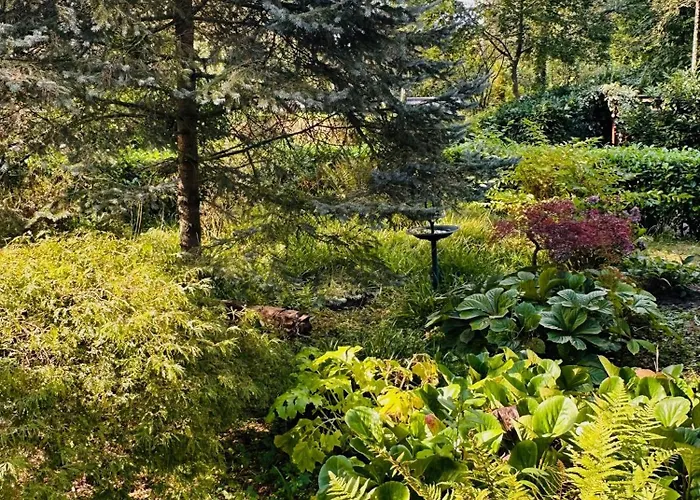 Дом отдыха Stayatsas Pippa Grote Omheinde Tuin, Gebruik Zwembad, Stijlvol Ingericht, Middenin Het Bos Met Veel Privacy, Restaurant Op Park