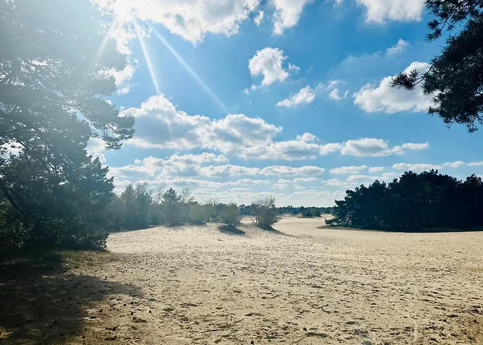 Stayatsas Pippa Grote Omheinde Tuin, Gebruik Zwembad, Stijlvol Ingericht, Middenin Het Bos Met Veel Privacy, Restaurant Op Park Дом отдыха Doornspijk