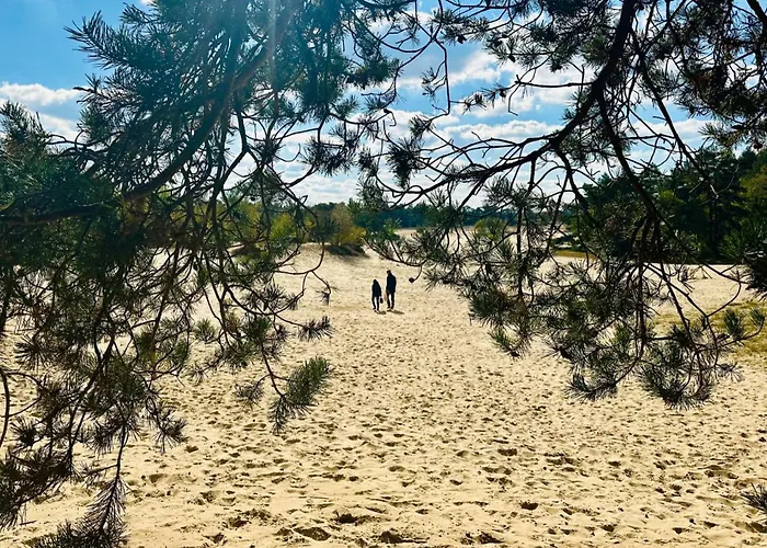 Stayatsas Pippa Grote Omheinde Tuin, Gebruik Zwembad, Stijlvol Ingericht, Middenin Het Bos Met Veel Privacy, Restaurant Op Park Дом отдыха Doornspijk