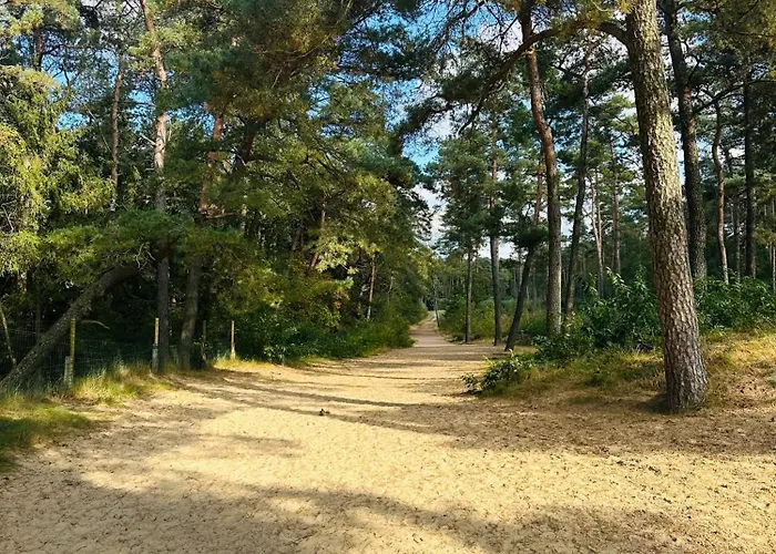 Stayatsas Pippa Grote Omheinde Tuin, Gebruik Zwembad, Stijlvol Ingericht, Middenin Het Bos Met Veel Privacy, Restaurant Op Park *