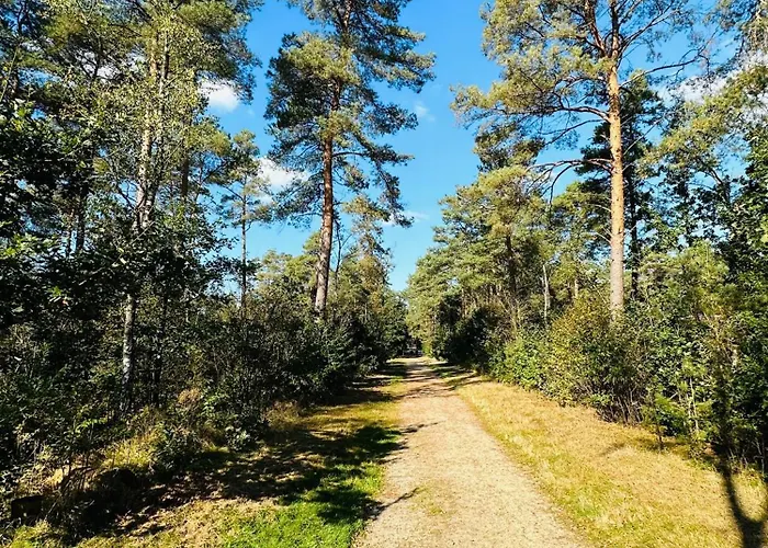 Stayatsas Pippa Grote Omheinde Tuin, Gebruik Zwembad, Stijlvol Ingericht, Middenin Het Bos Met Veel Privacy, Restaurant Op Park Doornspijk