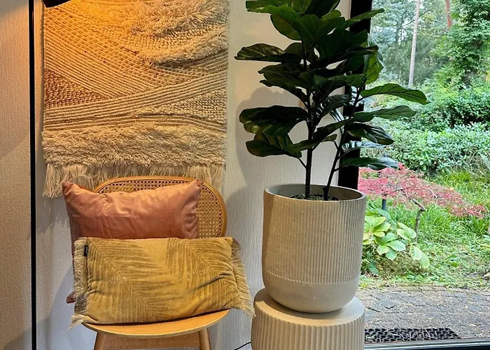 Stayatsas Pippa Grote Omheinde Tuin, Gebruik Zwembad, Stijlvol Ingericht, Middenin Het Bos Met Veel Privacy, Restaurant Op Park * Doornspijk