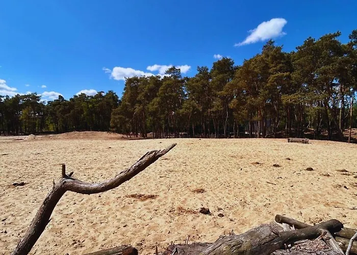 Stayatsas Pippa Grote Omheinde Tuin, Gebruik Zwembad, Stijlvol Ingericht, Middenin Het Bos Met Veel Privacy, Restaurant Op Park Дом отдыха Doornspijk